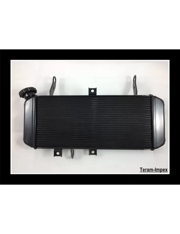 Radiateur Moto pour Suzuki SV 650 SV650 N et S de 2005 2006 2007 2008 2009 NEUF Dernière Chance