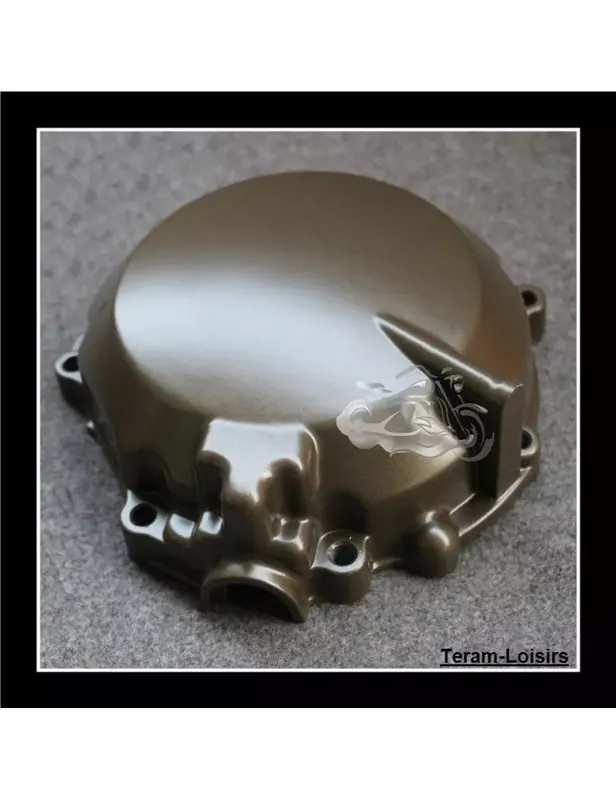 Carter Alternateur pour KAWASAKI ZX12R de 2002 2003 2004 2005 2006 Petit Prix