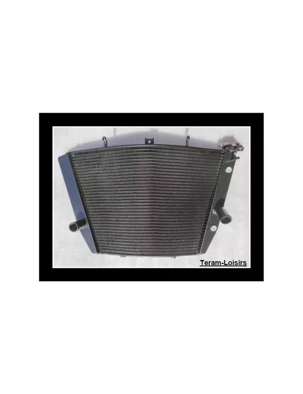 Radiateur pour SUZUKI GSXR 1000 de 2009 2010 2011 2012 2013 2014 2015 2016 / Type 17710-47H00-00 Bon Marché