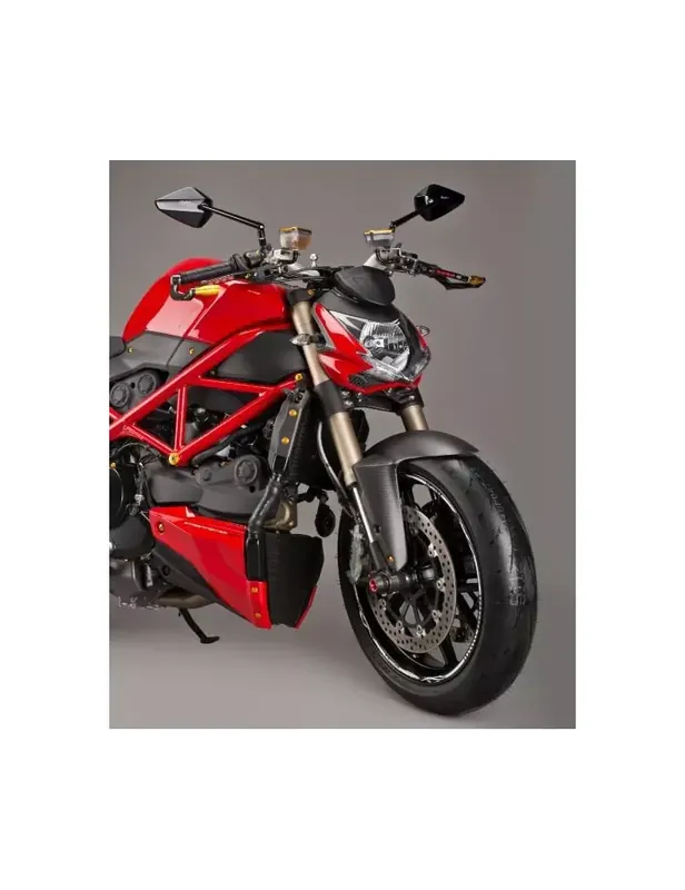 Bon Plan Garde boue avant LIGHTECH carbone mat Ducati Streetfighter 848