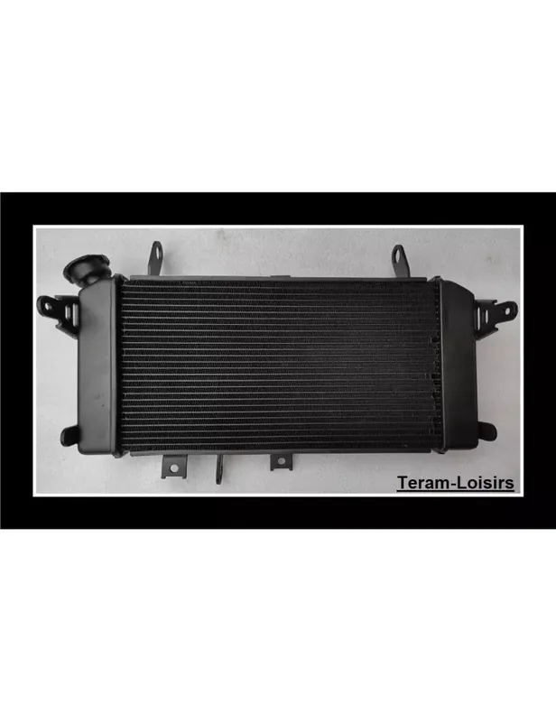 Achetez Aujourd&rsquo;hui Radiateur pour SUZUKI SFV 650 Gladius de 2009 2010 2011 2012 2013 2014 2015 2016 / Type 17710-44H00-000