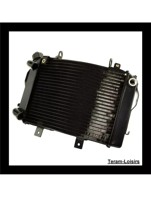 Acheter Direct Radiateur pour KTM 690 Duke de 2012 2013 2014 2015 2016 2017 2018 2019 / NEUF