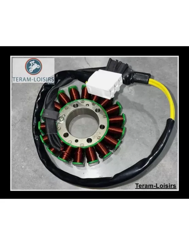 Stator Allumage pour Honda CBF 1000 de 2006 2007 2008 2009 2010 NEUF Retour Gratuit