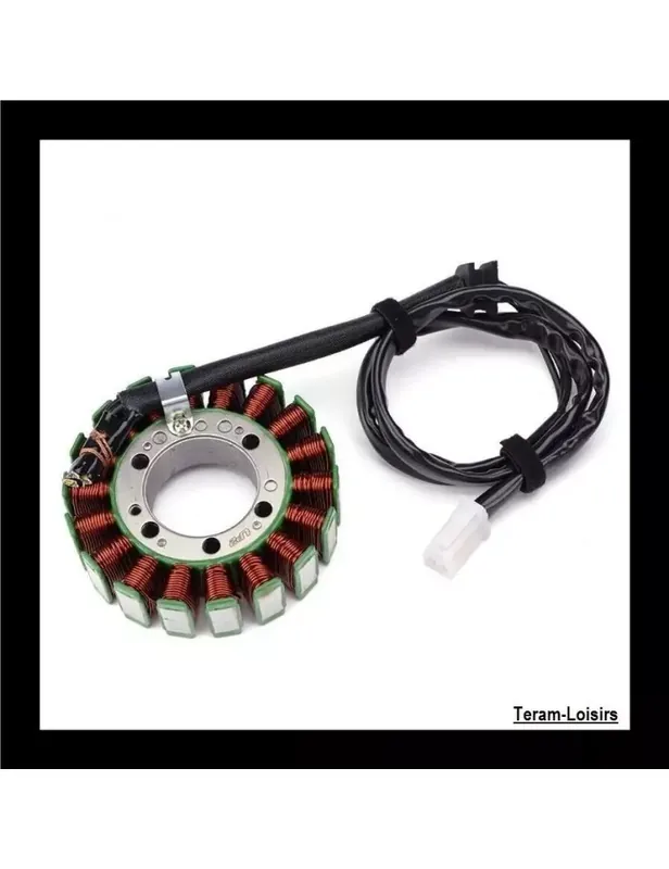 Stator Allumage pour Triumph Sprint ST 955 de 2000 2001 2002 2003 2004 NEUF Authentique