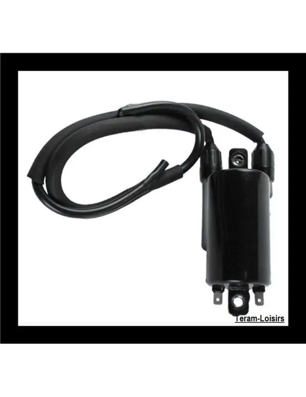 Usine Directe Bobine Allumage pour Kawasaki ZX E 750 de 1984 et 1985