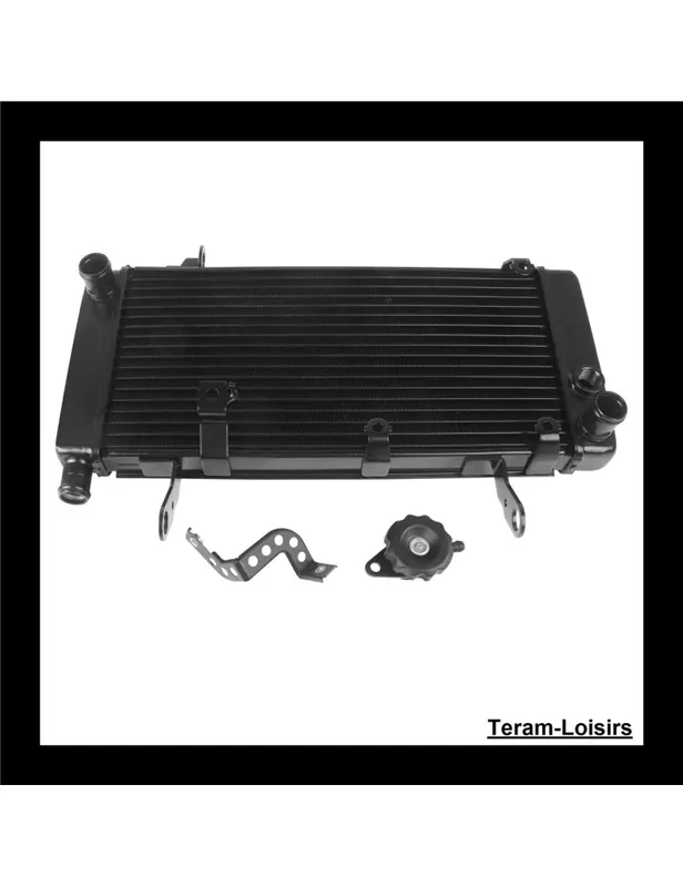 Vente Directe Radiateur pour Suzuki SV 1000 S de 2002 2003 2004 2005 2006 2007 2008 / NEUF