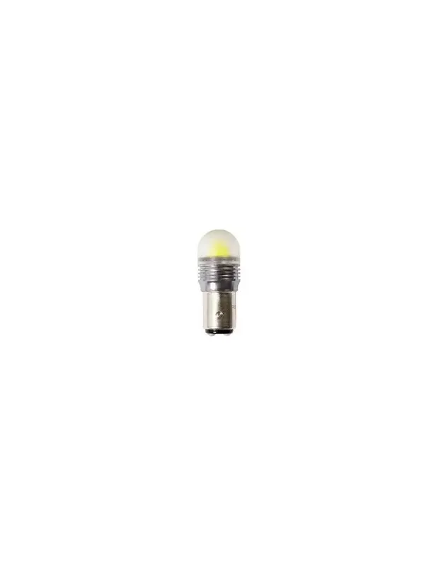 1 BLISTER DE 2 AMPOULES LED P21/5W TYPE 3D Offre Exclusive
