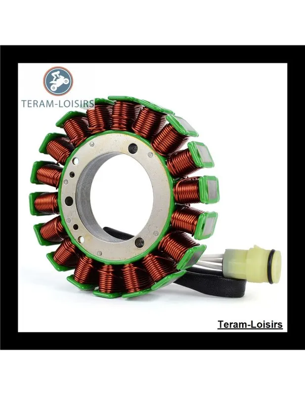 Vente Flash Stator Alternateur pour Yamaha 100 F100A ETL / X de 1999 2000 2001 2002 2003 2004 NEUF