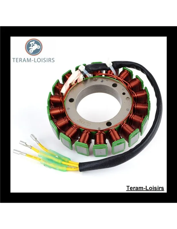 Prix Cassé Stator Alternateur pour Tohatsu MD 50 B (AQ) à partir de 2006 NEUF