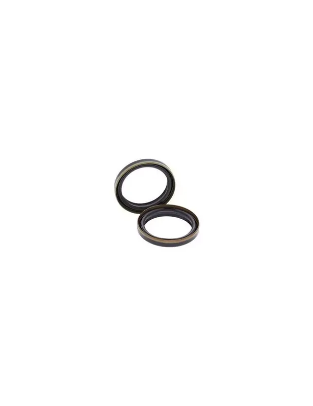 1 Kit de 2 Joints Spy de fourche (sans cache poussiere) Prix Cassé