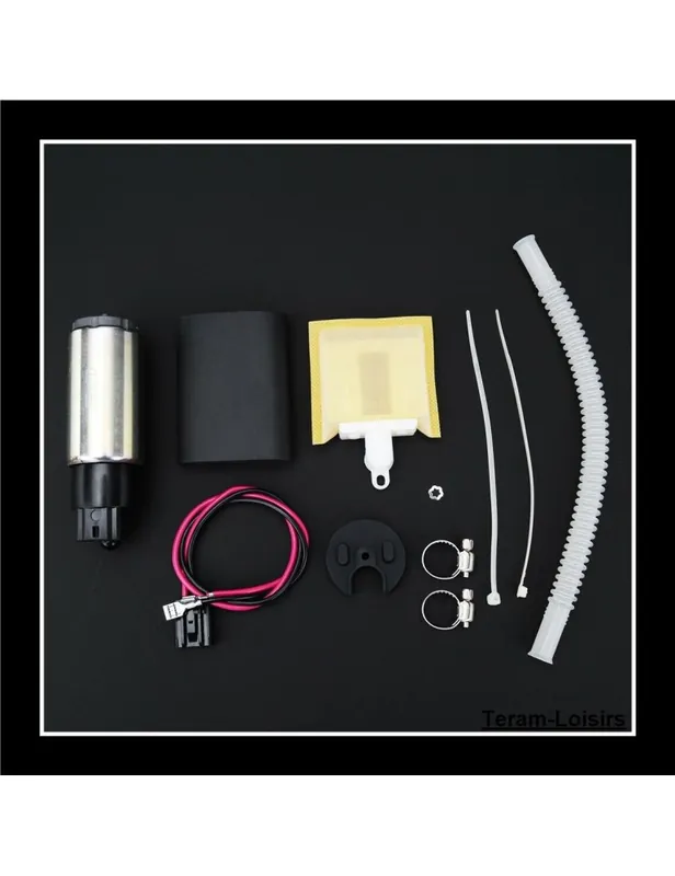 Acheter Direct Pompe à Essence pour Harley-Davidson HERITAGE SPRINGER FLSTS 1450 de 2001 à 2003