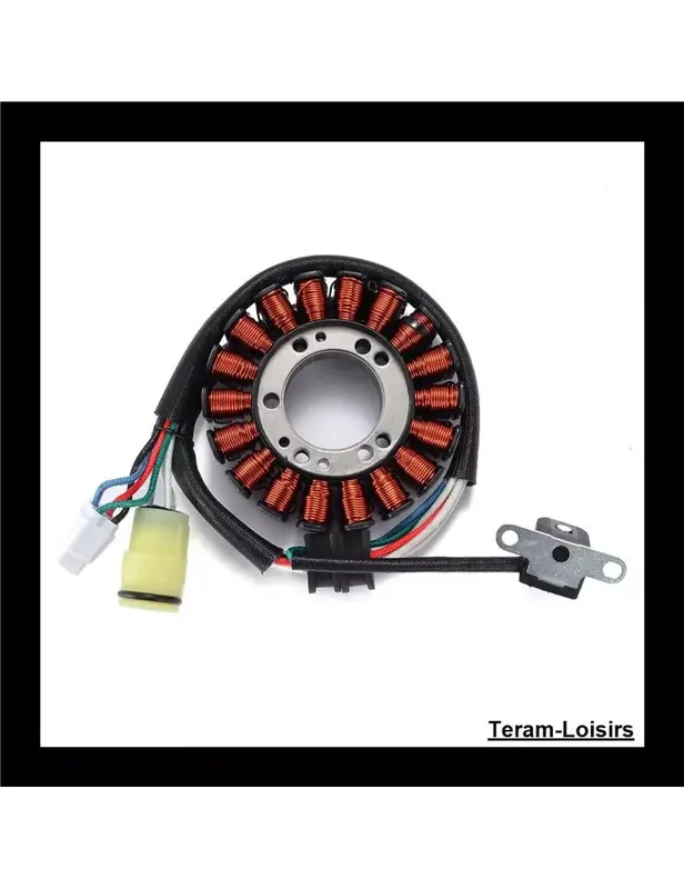 Vente Directe Stator Allumage pour Yamaha YFM 660 RLE Raptor 660R Limited Edition 2003 à 2005
