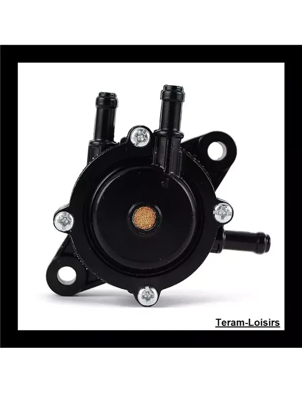 Acheter Direct Pompe à Essence pour Kawasaki KAF400 Mule 600 2X2 de 2005 à 2015