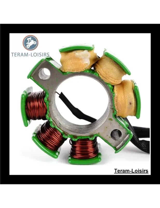Nouveauté Stator Alternateur pour Suzuki RMZ 250 / RM-Z250 de 2007 2008 2009 NEUF