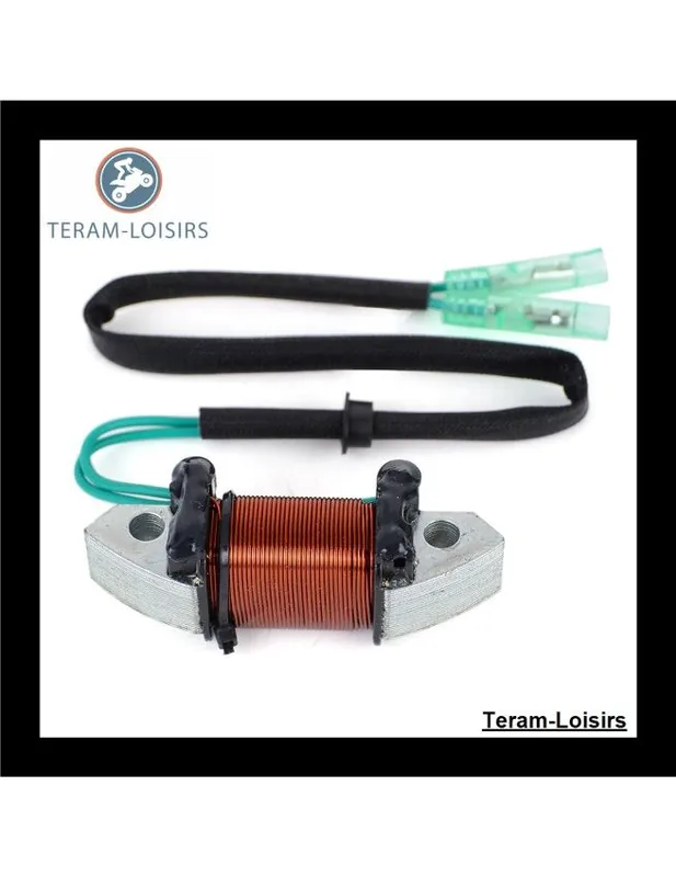 Quantité Limitée Stator Alternateur pour Yamaha 50 M(W/E/T/H/O)S/L de 1989 1990 1991 1992 1993 1994