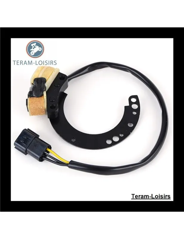 Stator Alternateur pour Mercury 20 HP de 1994 1995 1996 1997 1998 Acheter En Ligne