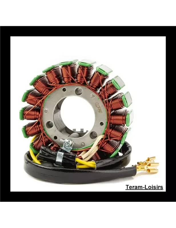 Jusqu'à Épuisement Des Stocks Stator Allumage pour KTM 250 Duke de 2016 2017 et 2018