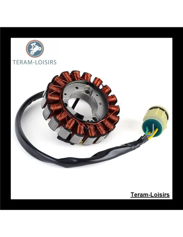 Usine Directe Stator Alternateur pour Honda TRX 350 FM5 FourTrax à partir de 2005