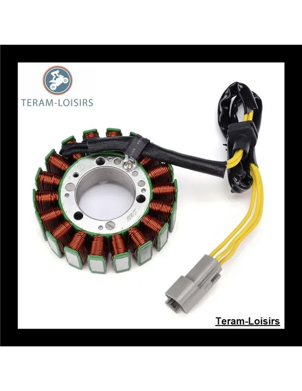 Usine Directe Stator Alternateur pour Sea-doo 230 CHALLENGER 2 x 155 / 215 à partir de 2012