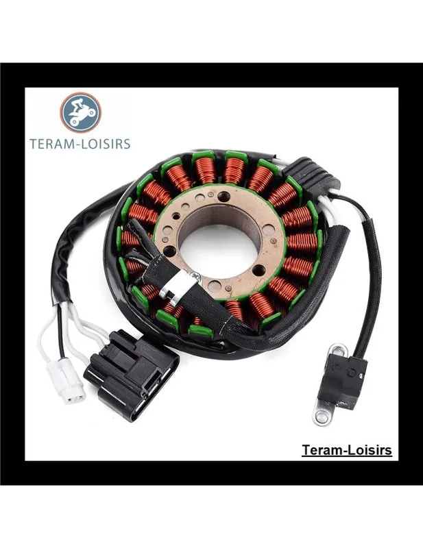 Commander Maintenant Stator Alternateur pour Yamaha Phazer 500 MTX PZ 50 de 2013 2014 2015 2016