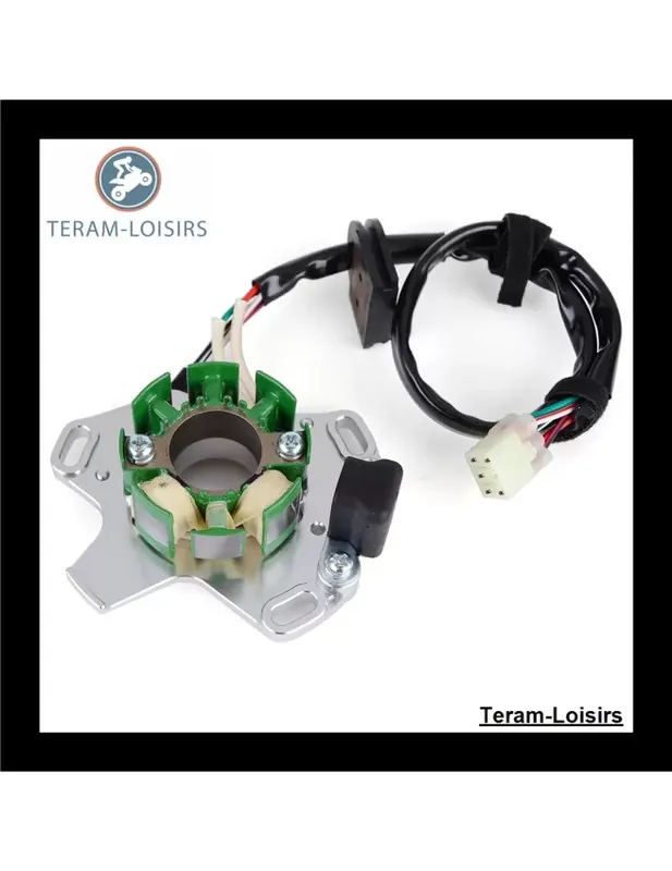 Vente Directe Stator Alternateur pour Suzuki RM 125 de 2002 2003 2004