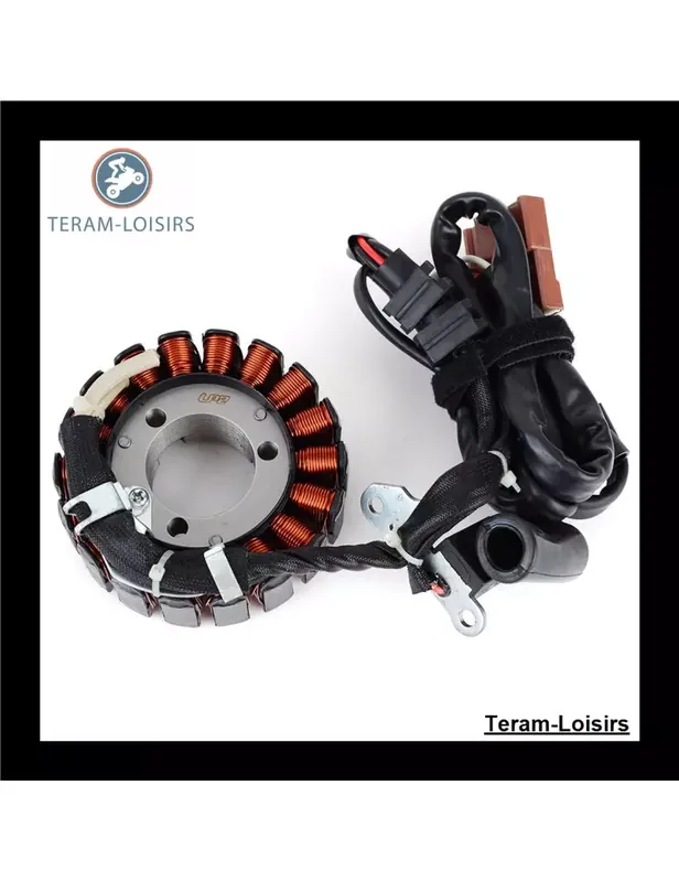 Vente Directe Stator pour Gilera Nexus 125 de 2007 2008 2009 2010 2011 2012 2013 2014