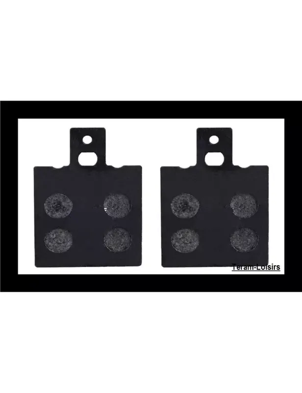 Vente Flash Plaquettes de Frein Arrière pour DUCATI Monster 1000 S2R de 2006 à 2008