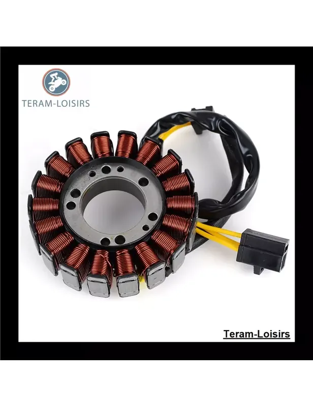 Vente Flash Stator pour MV Agusta 8000B4872 / 8000B9185
