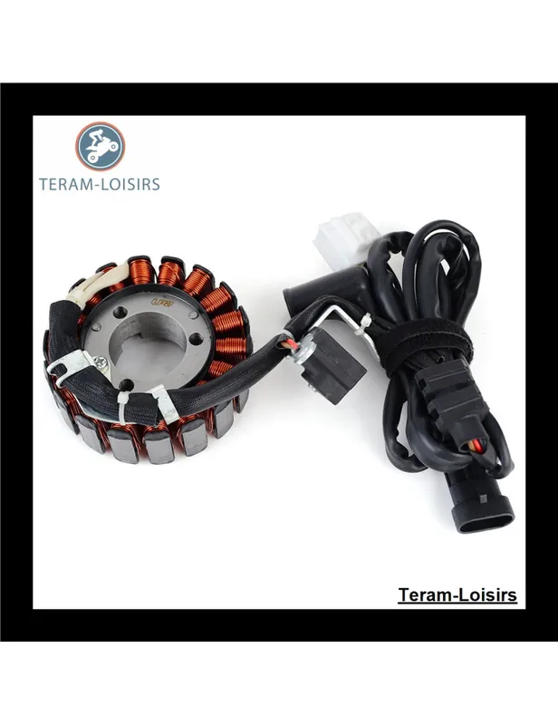 Usine Directe Stator pour Piaggio Beverly Cruiser 250 de 2007 2008