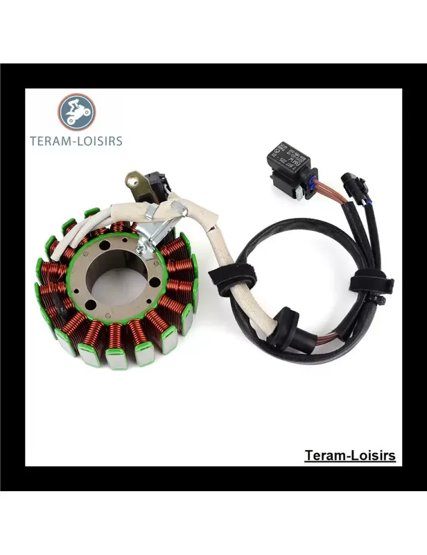 Vente Flash Stator pour BMW G 310 / G 310R K03 de 2016 2017 2018 2019 2020