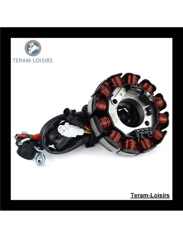 Vente Directe Stator Allumage pour GAS GAS EC 300 F Enduro 4T de 2013 2014