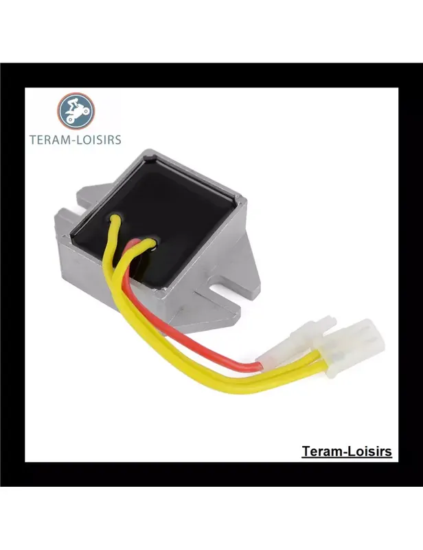 Régulateur Tension pour Briggs & Stratton 794360 / 793360 / 256400 / 28B700 Achat Immédiat