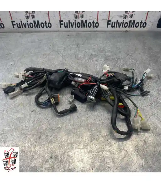 Faisceau électrique KYMCO KISBEE 50 – 2024 Prix Choc