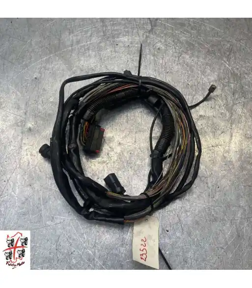 Top Vente Faisceau électrique secondaire HARLEY-DAVIDSON ELECTRA GLIDE – 2009