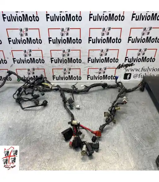 Bon Marché Faisceau électrique YAMAHA R1 - 2004 - 2006