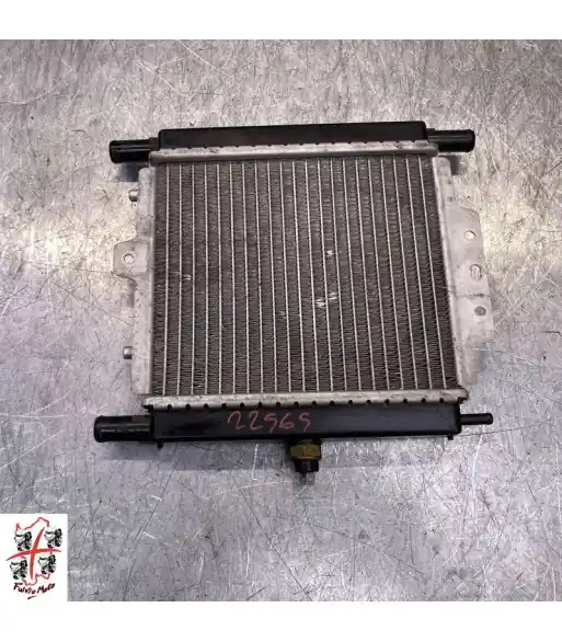 Vente Directe Radiateur d'eau PEUGEOT SATELIS 125 – 2008