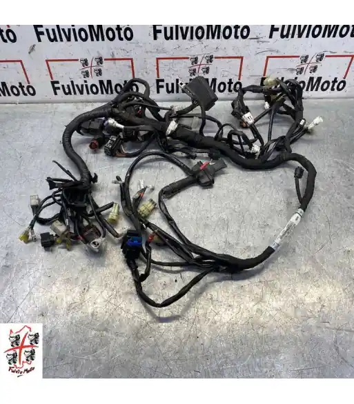 Satisfait Ou Remboursé Faisceau électrique KTM DUKE 690 – 2016