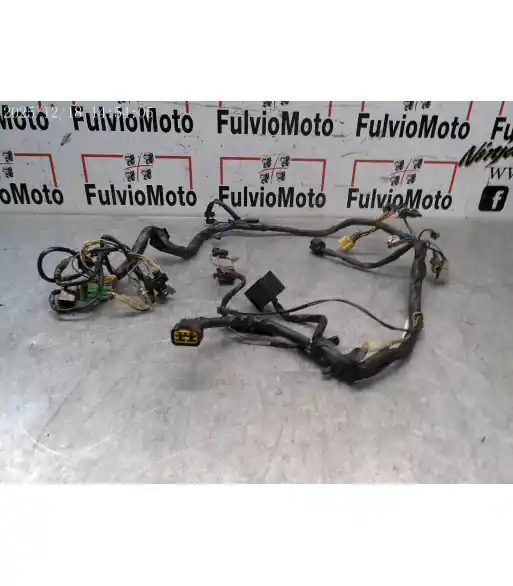 Acheter En Ligne Faisceau électrique SUZUKI MARAUDER 125 – 1999
