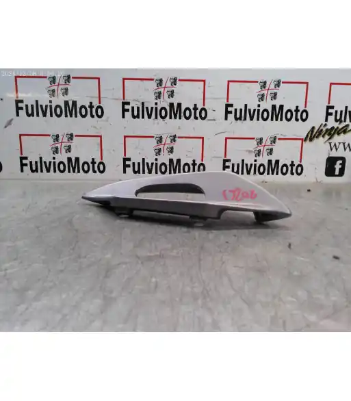 Barre maintien passager Droit SUZUKI BURGMAN 125 – 2014 Populaire