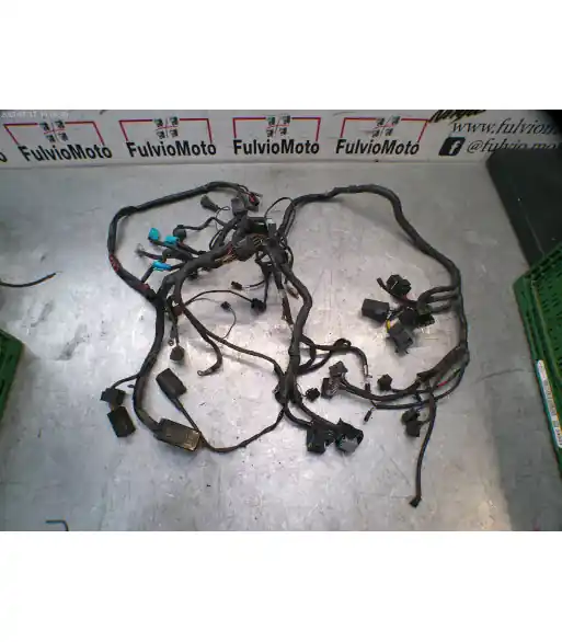 Remise Faisceau électrique TRIUMPH SPRINT ST 1050 – 2000
