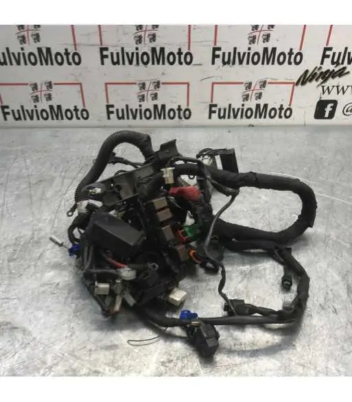 Faisceau électrique KTM DUKE 125 – 2019 Prix Bas