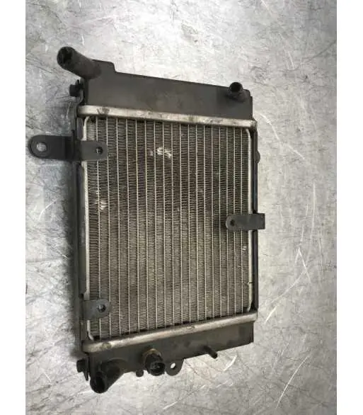 Radiateur d'eau DAELIM s3 125 – 2016 Nouvel Arrivage