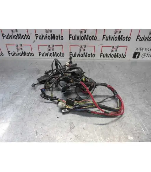 Faisceau électrique HARLEY-DAVIDSON SPORTSTER 1200 – 2013 Commander Vite