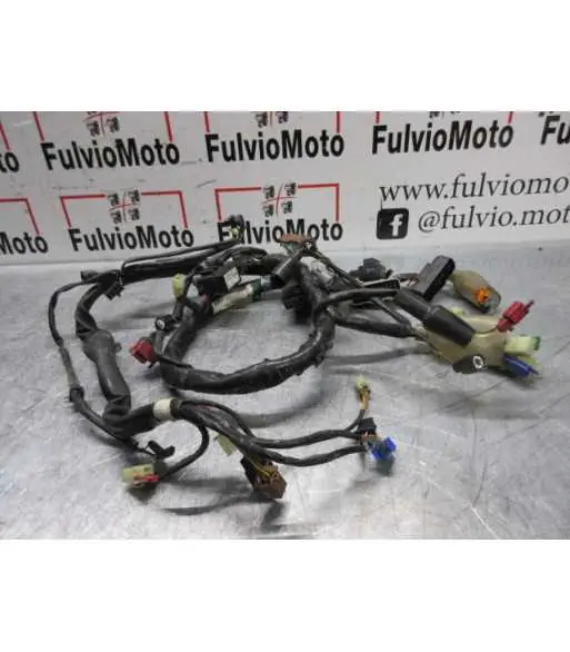 Acheter En Ligne Faisceau électrique HONDA HORNET 900 – 2004