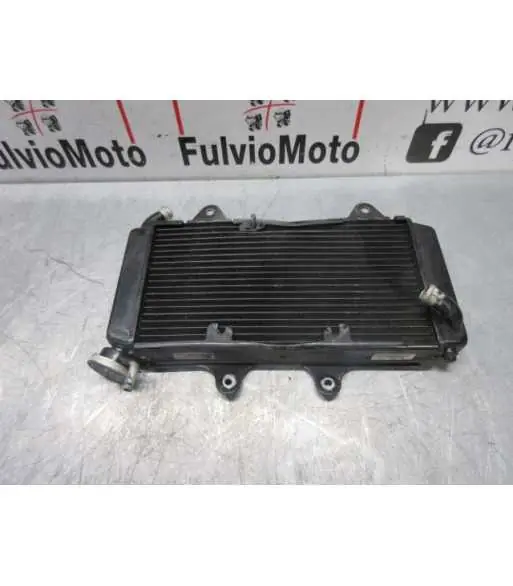 Produit De Marque Radiateur d'eau KTM RC 390 – 2016