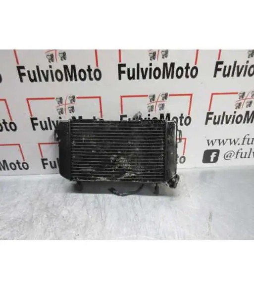 Acheter En Ligne Radiateur d'eau SUZUKI SV 650 – 2000