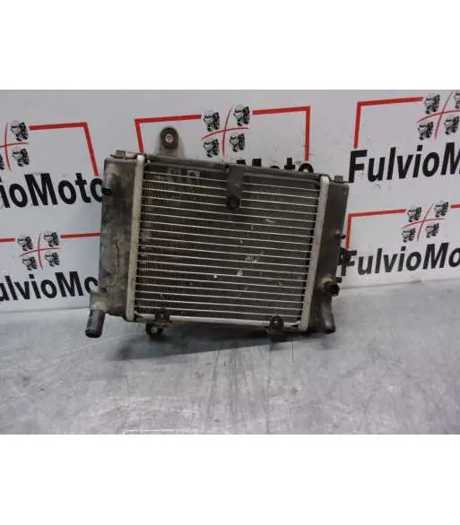Radiateur d'eau DAELIM s3 125 – 2011 Livraison Express