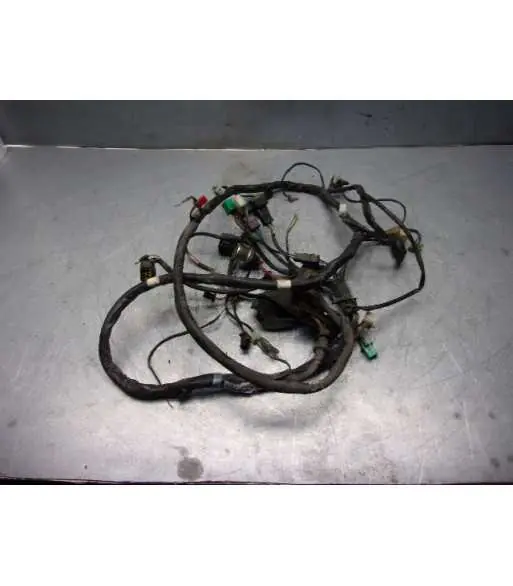 Offre Exclusive Faisceau électrique – KYMCO DINK 125 – 2007