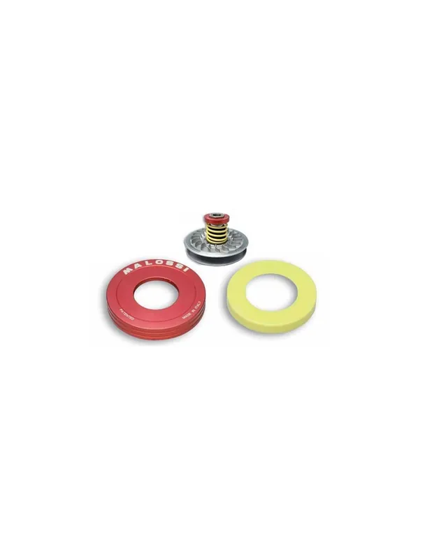 Quantité Limitée Torsion Controller Malossi TMAX