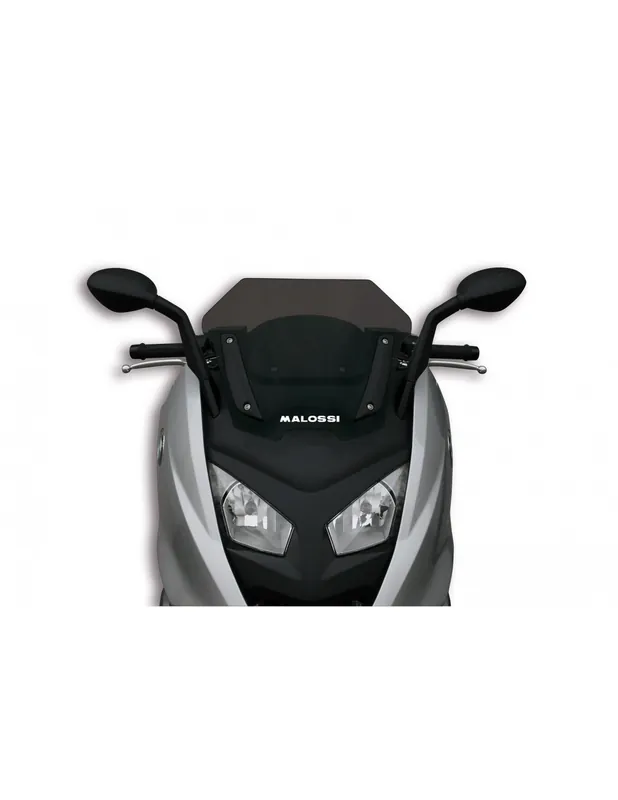 Expédition Rapide Bulle sport Malossi Fumé BMW C 600 Sport C 650 Sport 12-20